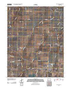Dove Creek 2010 topographic map thumbnail