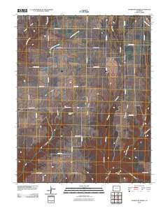 Champagne Spring 2010 topographic map thumbnail