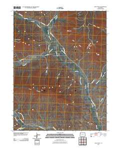 Long Point 2010 topographic map thumbnail