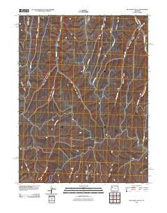 McCarthy Gulch 2010 topographic map thumbnail