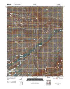 Ritter Arroyo 2010 topographic map thumbnail