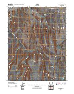 Payne Wash 2010 topographic map thumbnail