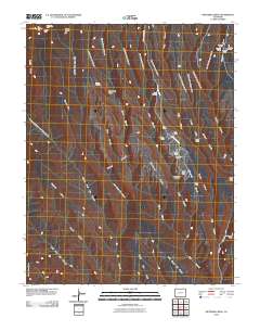 Wetherill Mesa 2010 topographic map thumbnail