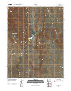 Stone City 2010 topographic map thumbnail