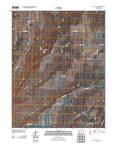 Ruin Canyon 2010 topographic map thumbnail