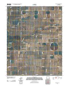 Walsh SE 2010 topographic map thumbnail
