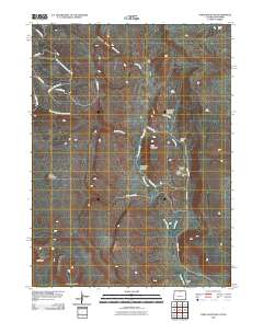 Table Mountain 2010 topographic map thumbnail