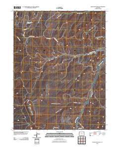 Texas Mountain 2010 topographic map thumbnail