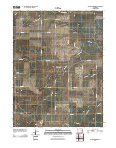 Walks Camp Park 2010 topographic map thumbnail