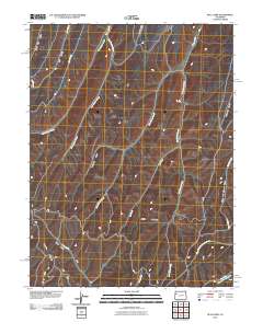 Bull Fork 2010 topographic map thumbnail