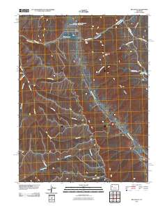 Rio Blanco 2010 topographic map thumbnail