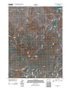 Bakers Peak 2010 topographic map thumbnail