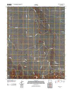 Branson 2010 topographic map thumbnail
