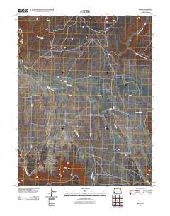 Basin 2010 topographic map thumbnail