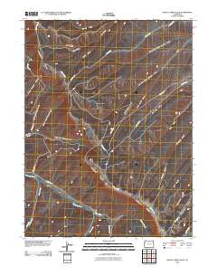 Black Cabin Gulch 2010 topographic map thumbnail
