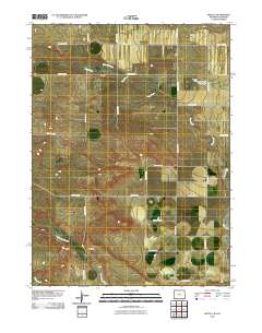 Arcola 2010 topographic map thumbnail