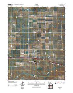 Flagler 2010 topographic map thumbnail