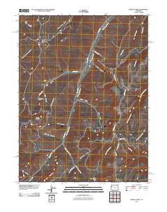 Brushy Point 2010 topographic map thumbnail