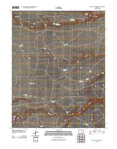 Jones Lake Spring 2010 topographic map thumbnail