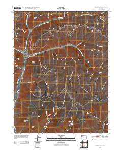 Forked Gulch 2010 topographic map thumbnail