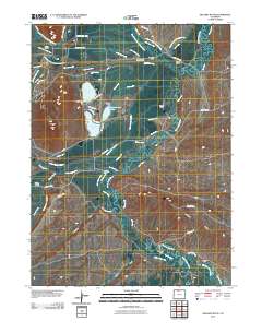 Delaney Butte 2010 topographic map thumbnail