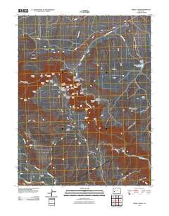 Grizzly Ridge 2010 topographic map thumbnail