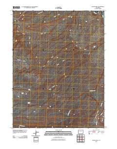 Island Mesa 2010 topographic map thumbnail