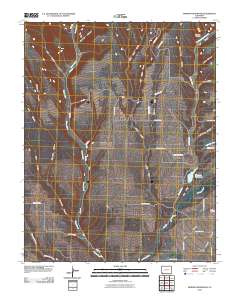 Mormon Reservoir 2010 topographic map thumbnail