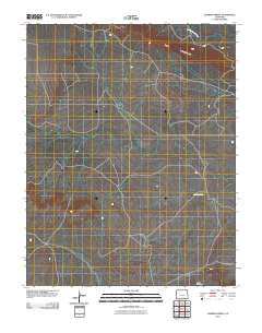 Lambing Spring 2010 topographic map thumbnail