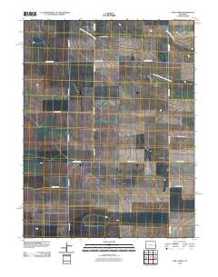 Lake Albert 2010 topographic map thumbnail
