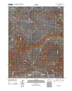 Lazy Y Point 2010 topographic map thumbnail