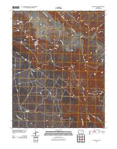 Naturita NW 2010 topographic map thumbnail
