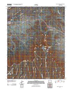 Point Lookout 2010 topographic map thumbnail