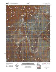 Mount Pittsburg 2010 topographic map thumbnail