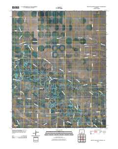Mount Pleasant School 2010 topographic map thumbnail