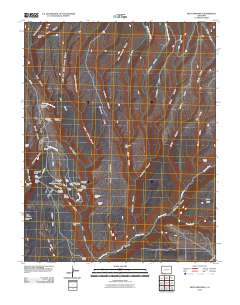 Moccasin Mesa 2010 topographic map thumbnail