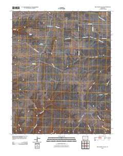Red Horse Gulch 2010 topographic map thumbnail