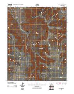 Plum Canyon 2010 topographic map thumbnail