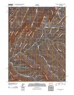 Razorback Ridge 2010 topographic map thumbnail