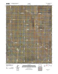 Todd Point 2010 topographic map thumbnail