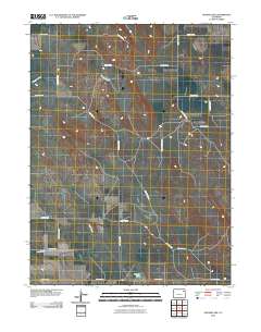 Snyder Lake 2010 topographic map thumbnail