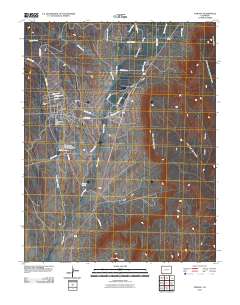 Towaoc 2010 topographic map thumbnail