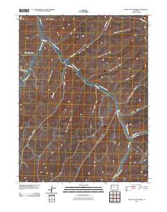 White Coyote Draw 2010 topographic map thumbnail