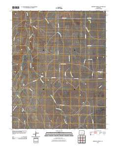 Dripping Spring 2010 topographic map thumbnail