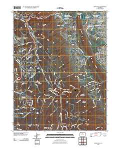 Indian Hills 2010 topographic map thumbnail