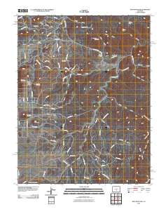 Iron Mountain 2010 topographic map thumbnail