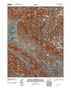 Davis Mesa 2011 topographic map thumbnail
