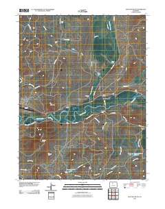 Junction Butte 2010 topographic map thumbnail
