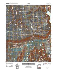 Ridgway 2010 topographic map thumbnail