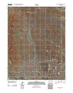 Steele Hollow 2010 topographic map thumbnail
